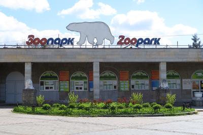 Зоопарк В Санкт Петербурге Фото