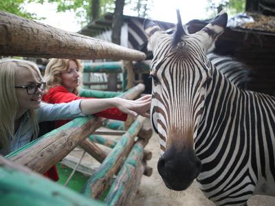 Трогательный зоопарк, Санкт-Петербург: лучшие советы перед посещением -  Tripadvisor