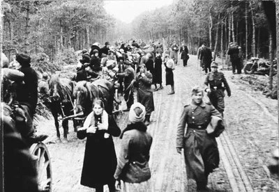 Немцы их не спрашивали, женщины из страха соглашалась сами». Как жили  женщины и их дети, рожденные от фашистов | Историческое путешествие🔥 | Дзен