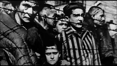 Можем повторить\": как советские солдаты зверски и безнаказанно насиловали немецких  женщин — Общество